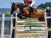 jumper Cola Light (Oldenburg show jumper, 2010, from Cola 10)