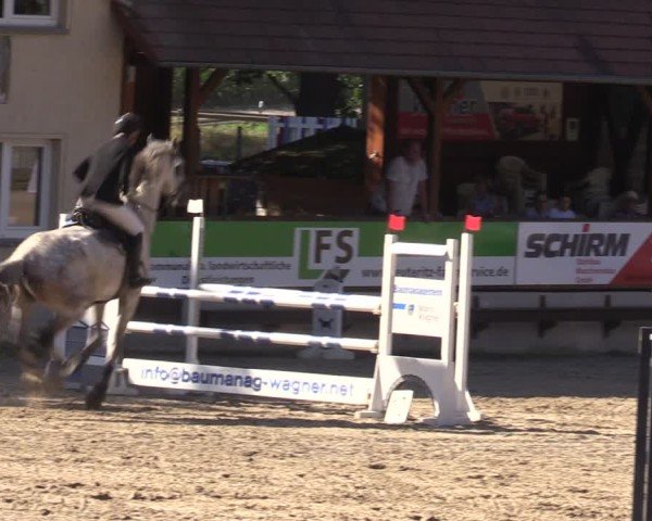 Reitturnier Lgl.-Oberhain, B95 2024