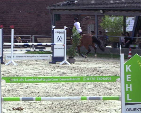 Reitturnier Dortmund-Barop 2024