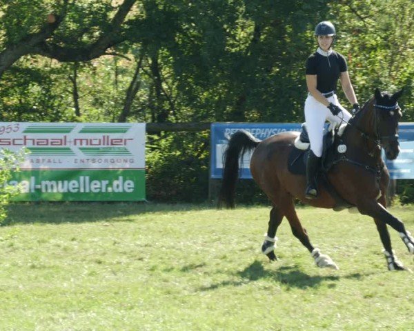 Reitturnier Leonberg 2024