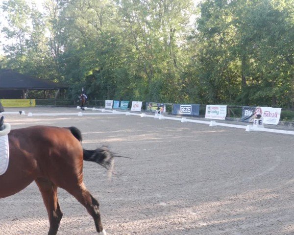 Reitturnier Leonberg 2024