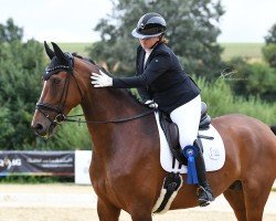 dressage horse Just in Time 34 (German Sport Horse, 2015, from Jake Johnson)