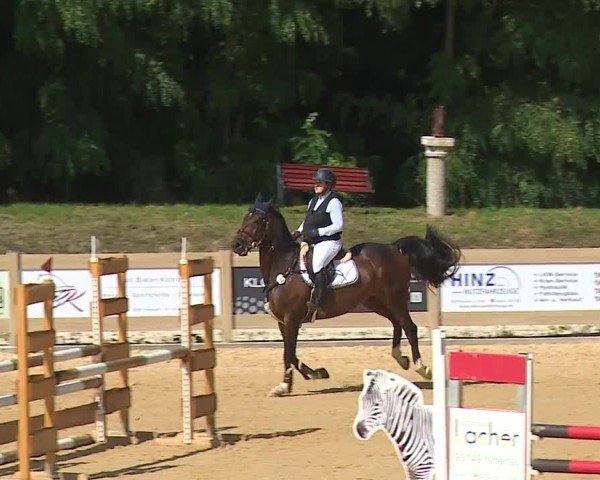 Reitturnier Tiefenhof/Opf. 2024