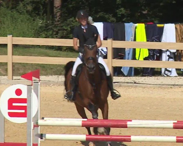 Reitturnier Tiefenhof/Opf. 2024