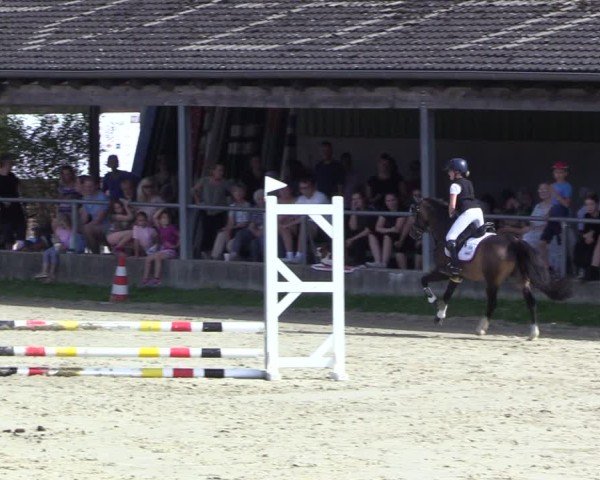 Reitturnier Dortmund-Barop 2024