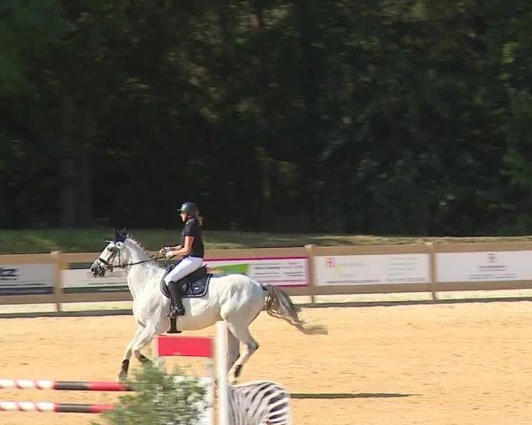 Reitturnier Tiefenhof/Opf. 2024