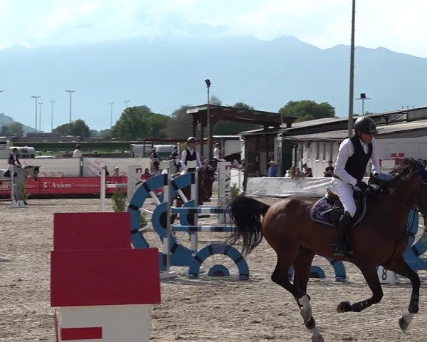 Reitturnier Giubiasco 2024