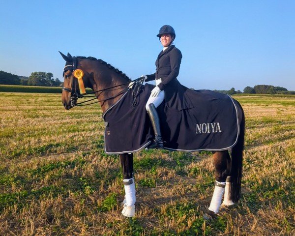 dressage horse Sandro (Czech Warmblood, 2013, from Sandro Classic)