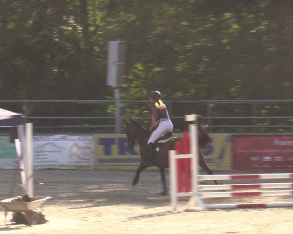 Reitturnier Lgl.-Oberhain, B95 2024