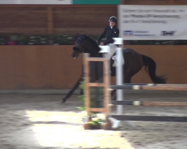 Springturnier Xanten - Reitanlage Miss 2021