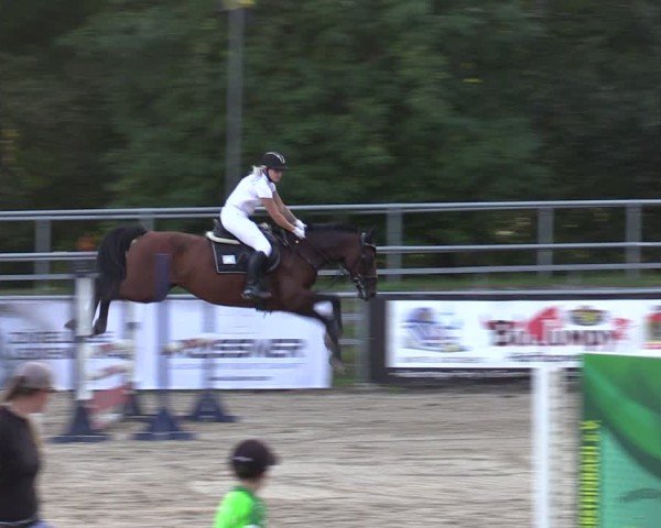 Reitturnier Lgl.-Oberhain, B95 2024