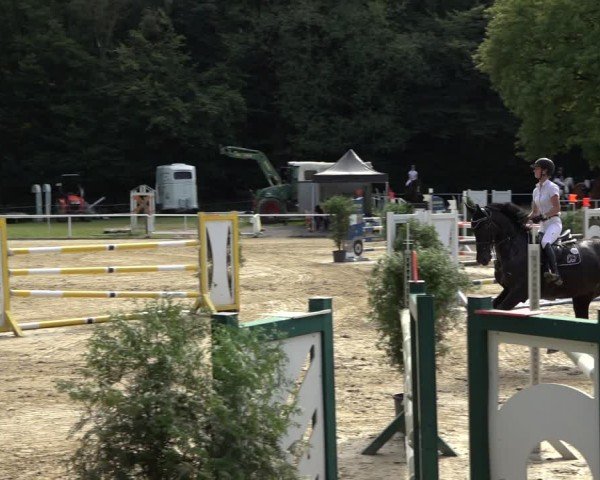 Reitturnier Dinslaken-Hiesfeld 2024