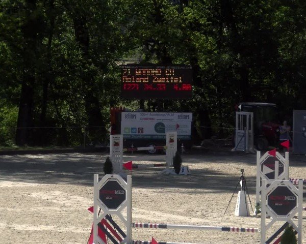 Reitturnier Maienfeld 2024