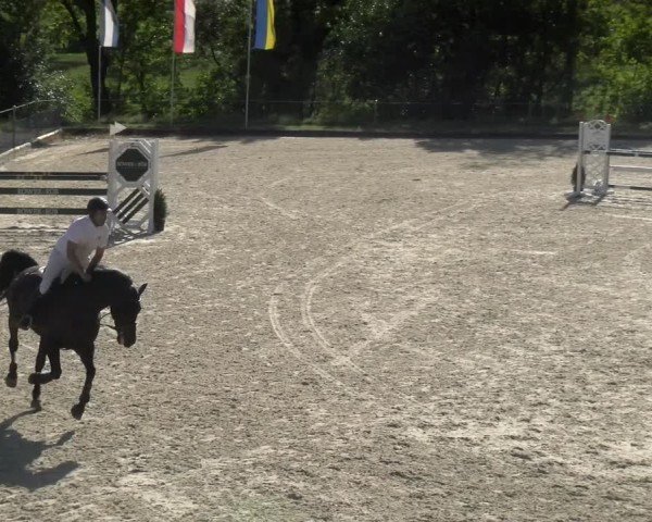 Reitturnier Maienfeld 2024