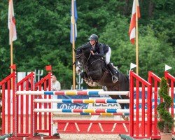 stallion Magic's Boy St (German Riding Pony, 2012, from Magic Cornflakes)