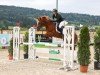 jumper Don Camillo RH (German Riding Pony, 2014, from Dimension AT NRW)