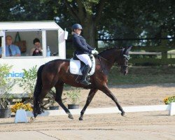 dressage horse Fräulein Elektra 3 (Oldenburg, 2016, from Fuerst William Old)