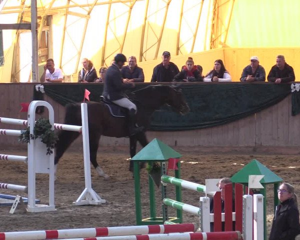 Reitturnier Wollersleben 2021