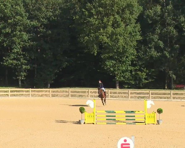 Reitturnier Tiefenhof/Opf. 2024