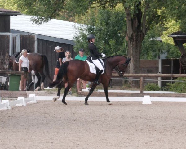 Reitturnier Leonberg 2024