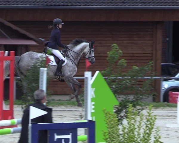 Reitturnier Dortmund-Barop 2024