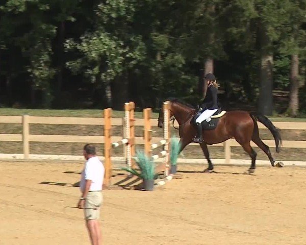 Reitturnier Tiefenhof/Opf. 2024