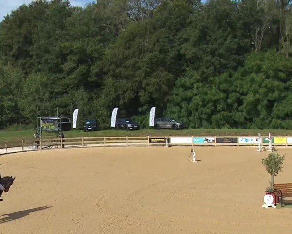 Reitturnier Tiefenhof/Opf. 2024