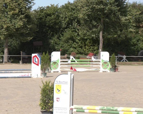 Reitturnier Appelhülsen 2024