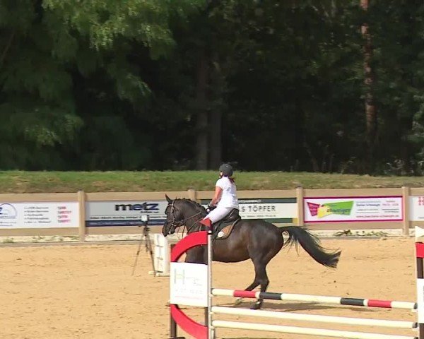 Reitturnier Tiefenhof/Opf. 2024