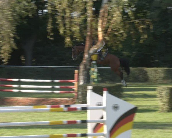 Reitturnier Westeregeln 2024
