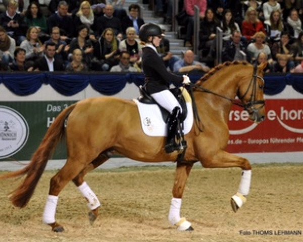 dressage horse Rosendiamant (Westphalian, 2013, from Rohjuwel OLD)