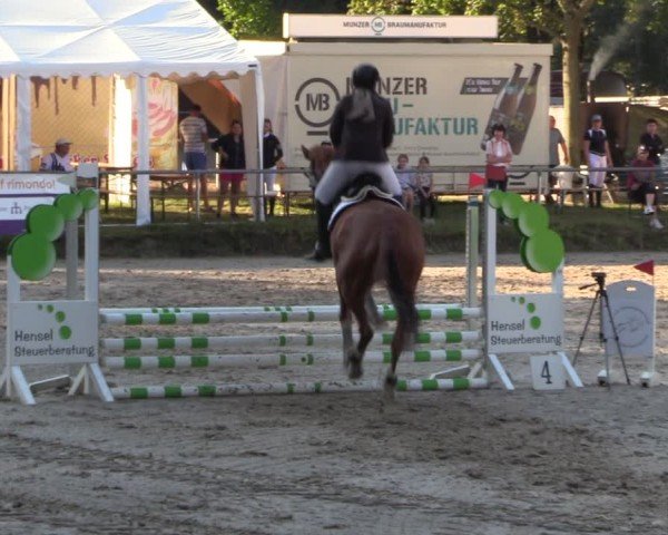 Reitturnier Lgl.-Oberhain, B95 2024