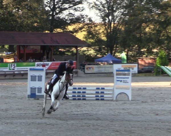 Reitturnier Lgl.-Oberhain, B95 2024