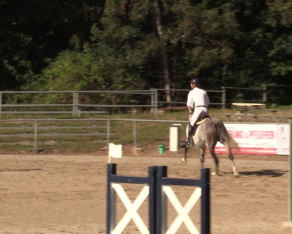 Reitturnier Lgl.-Oberhain, B95 2024