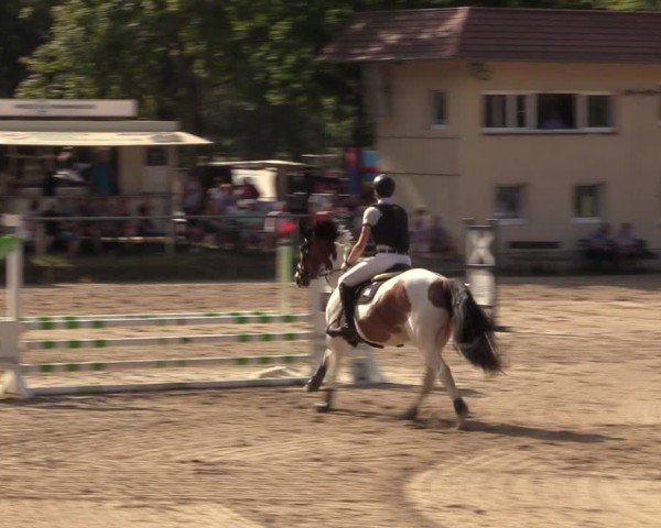 Reitturnier Lgl.-Oberhain, B95 2024