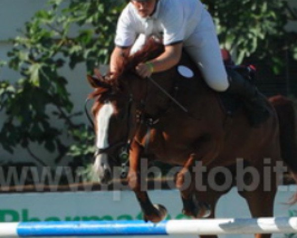 jumper Wee Mac (Irish Sport Horse, 2006)