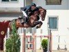 jumper Victoria's Secret Hh (Oldenburg show jumper, 2018, from Brantzau)