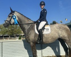 jumper Elli FZ (German Sport Horse, 2020, from El Amigo)