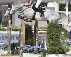 jumper J'Espere van Ter Pamelen (Belgian Warmblood, 2009, from Calvados)