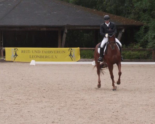 Reitturnier Leonberg 2024