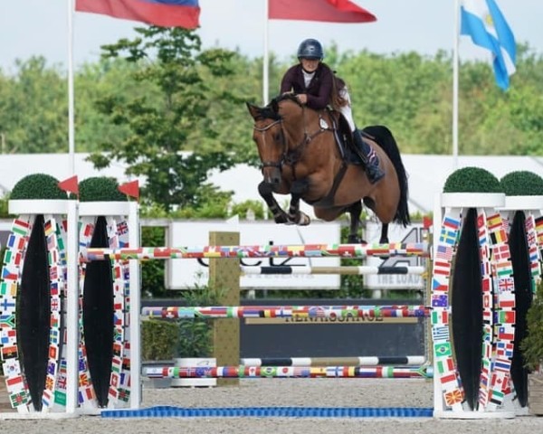 Springpferd Lycero St. Hubert (Belgisches Warmblut, 2011, von Cicero Z van Paemel)