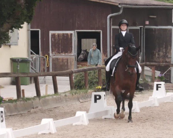 Reitturnier Leonberg 2024