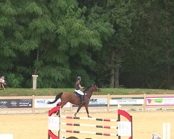 Reitturnier Tiefenhof/Opf. 2024