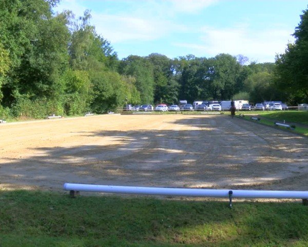Reitturnier Dinslaken-Hiesfeld 2024