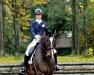 dressage horse Daily Deluxe (Oldenburg, 2012, from Daily Deal)