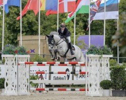 jumper Cosmopolitan 55 (German Sport Horse, 2015, from Colman)