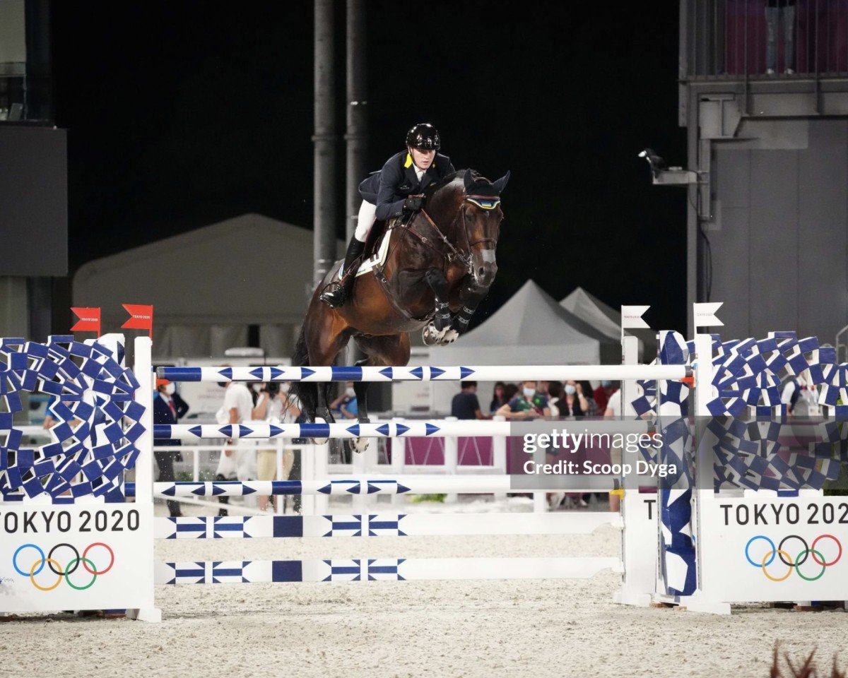 jumper Casanova F Z (Zangersheide riding horse, 2007, from Clinton I)