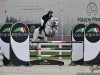 stallion Olympic Dream 6 (Oldenburg show jumper, 2009, from Olympic Fire 5)