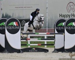 stallion Olympic Dream 6 (Oldenburg show jumper, 2009, from Olympic Fire 5)