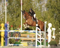 jumper Con Clarimo (Oldenburg show jumper, 2017, from Cinsey)